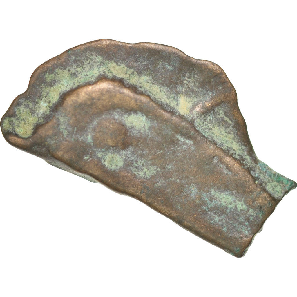 Sarmatia, Olbia, Dolphin, Olbia, VF(30-35), Bronze, 2.49