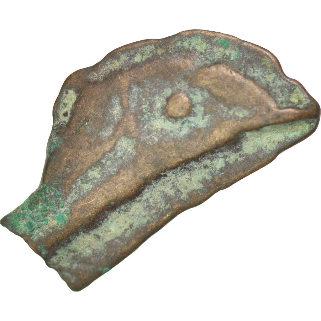 Sarmatia, Olbia, Dolphin, Olbia, VF(30-35), Bronze, 2.49