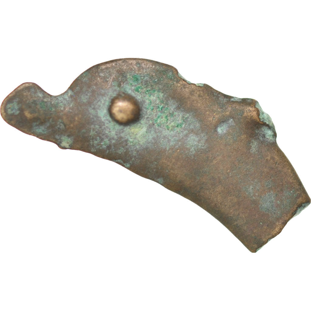 Sarmatia, Olbia, Dolphin, Olbia, VF(30-35), Bronze, 1.61
