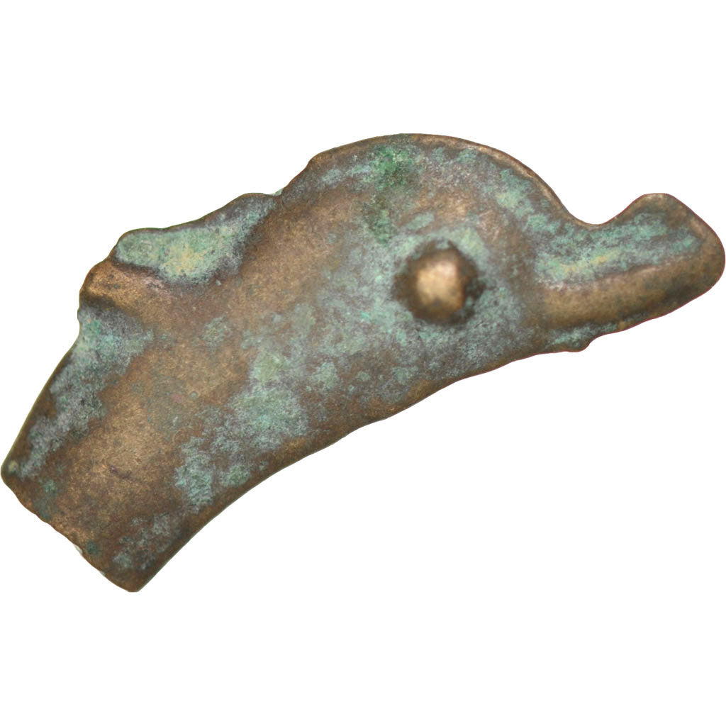 Sarmatia, Olbia, Dolphin, Olbia, VF(30-35), Bronze, 1.61