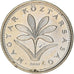 Münze, Ungarn, 2 Forint, 2007, S+, Copper-nickel, KM:693