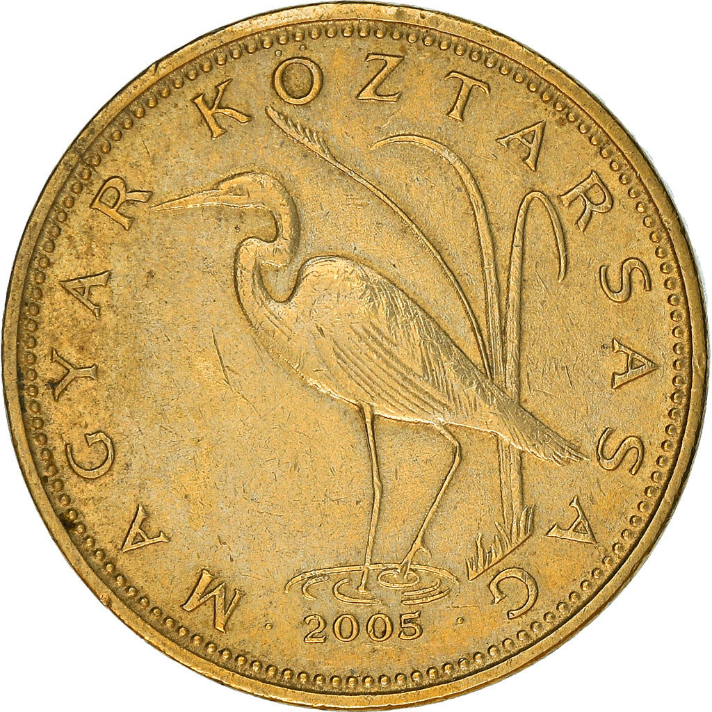 Münze, Ungarn, 5 Forint, 2005, Budapest, SS+, Nickel-brass, KM:694