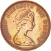 Coin, Falkland Islands, Elizabeth II, Penny, 1983, AU(55-58), Bronze, KM:2