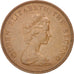 FALKLAND ISLANDS, 2 Pence, 1985, KM #3, AU(55-58), Bronze, 25.91, 7.20