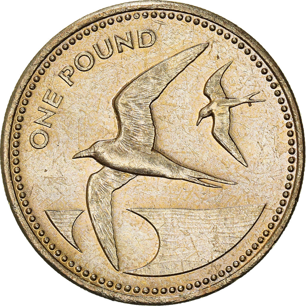 Moneta, SANT’ELENA & ASCENSION, Elizabeth II, Pound, 1991, British Royal Mint