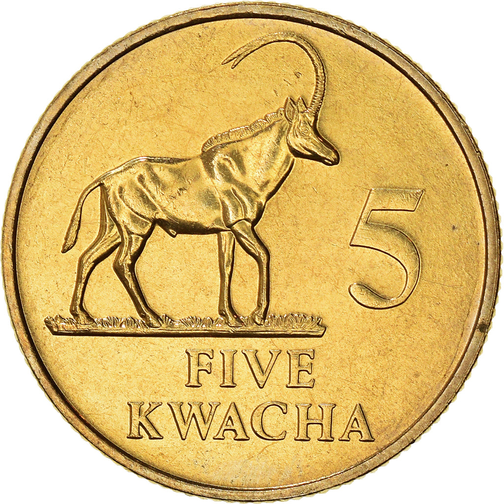 Coin, Zambia, 5 Kwacha, 1992, British Royal Mint, AU(55-58), Brass, KM:31