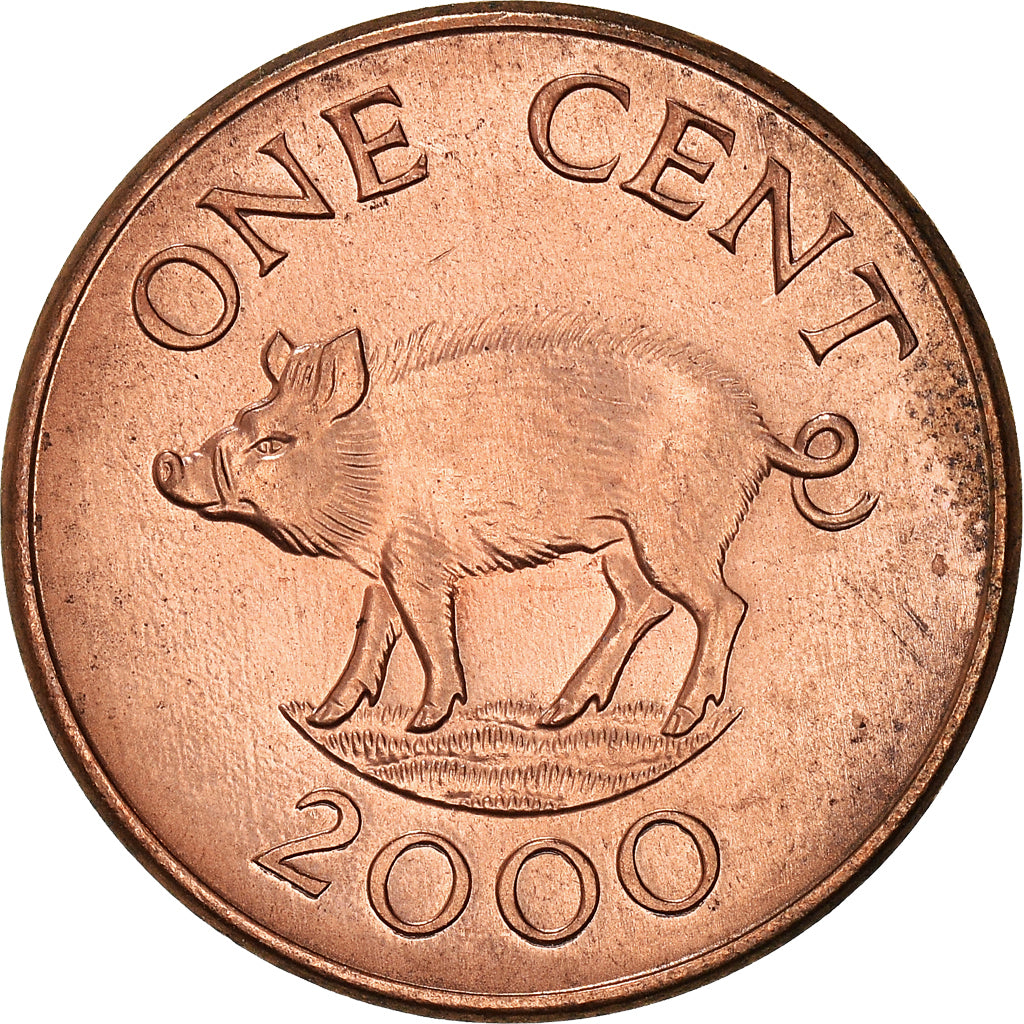 Coin, Bermuda, Elizabeth II, Cent, 2000, AU(50-53), Copper Plated Zinc, KM:107