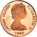 Coin, Cayman Islands, Elizabeth II, Cent, 1980, Franklin Mint, Proof, MS(65-70)