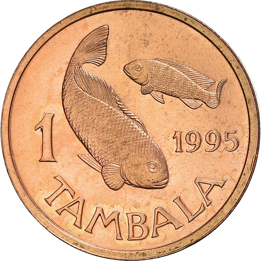 Munten, Malawi, Tambala, 1995, PR+, Bronzen, KM:33