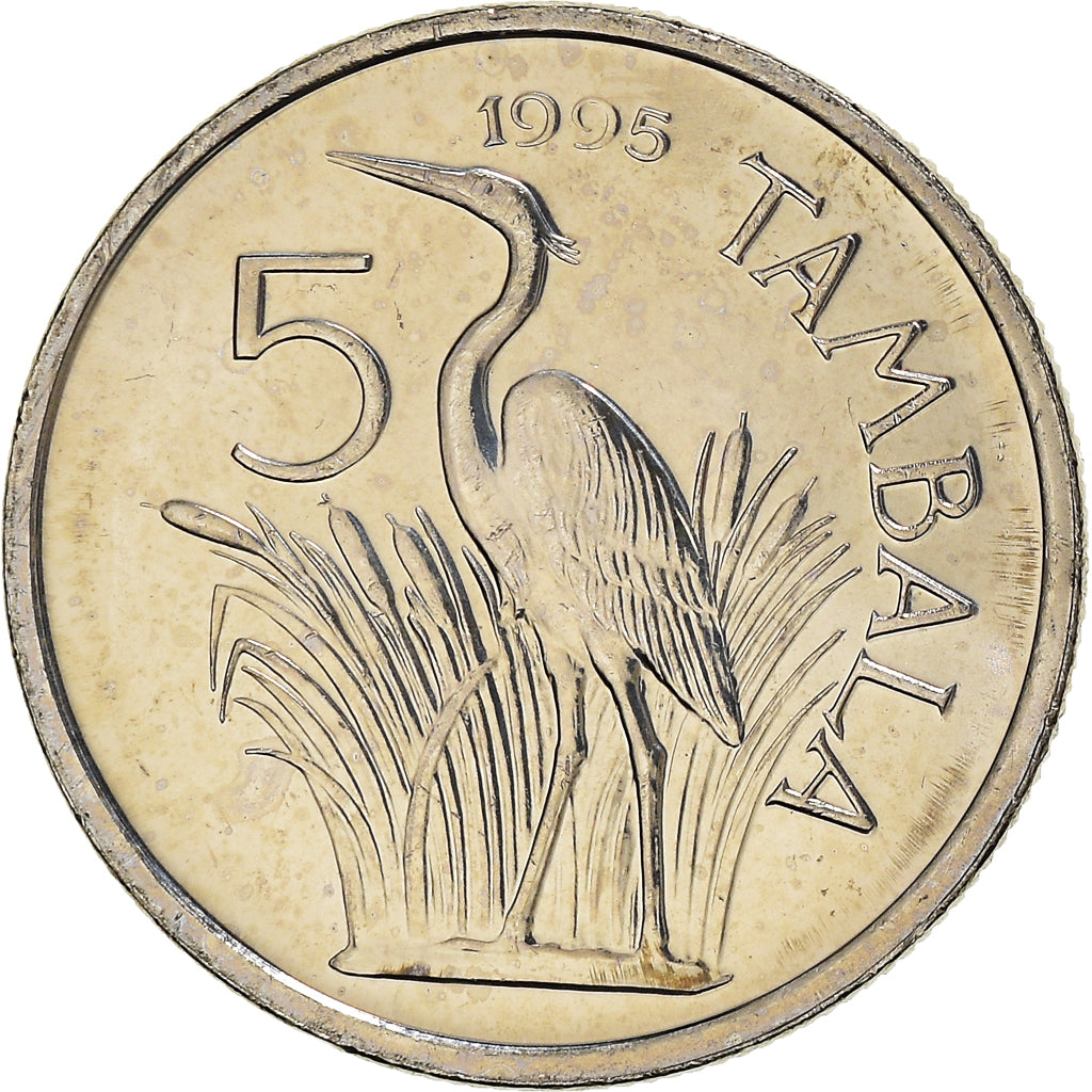 Coin, Malawi, 5 Tambala, 1995, AU(55-58), Nickel plated steel, KM:32.1