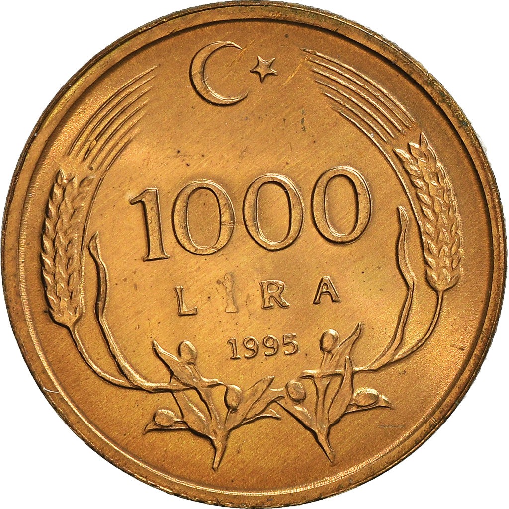 Coin, Turkey, 1000 Lira, 1995, MS(63), Bronze Clad Brass, KM:1028