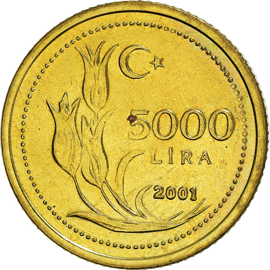 Monnaie, Turquie, 5000 Lira, 2001, TTB+, laiton