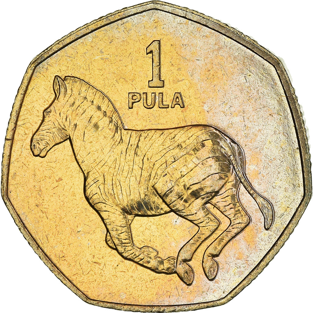 Coin, Botswana, Pula, 1991, British Royal Mint, MS(60-62), Nickel-brass, KM:24