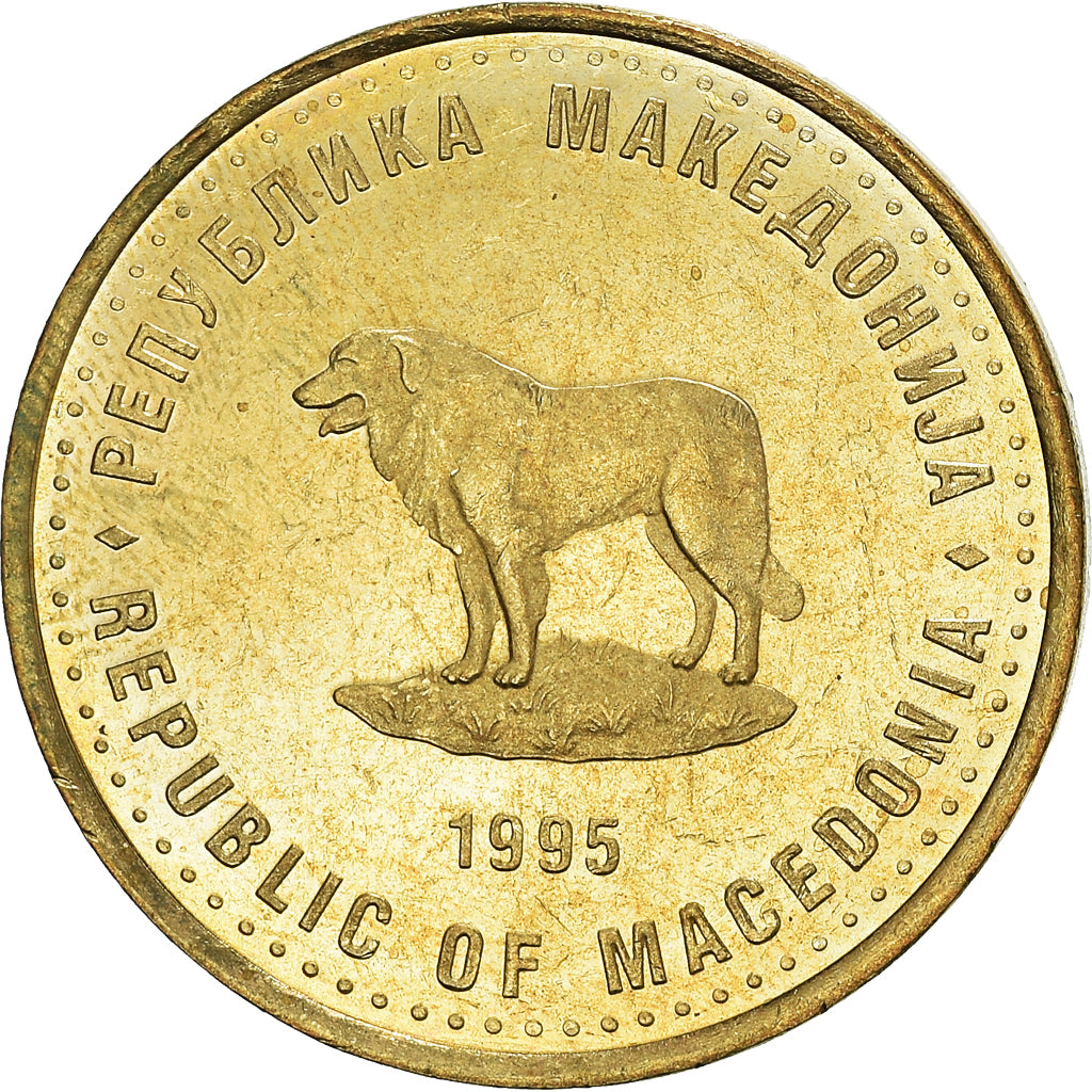 Coin, Macedonia, Denar, 1995, AU(50-53), Brass, KM:5