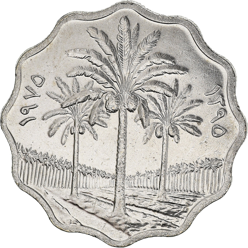 Coin, Iraq, 5 Fils, 1975, MS(60-62), Stainless Steel, KM:141