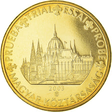 Hungary, Fantasy euro patterns, 50 Euro Cent, 2003, MS(63), Copper