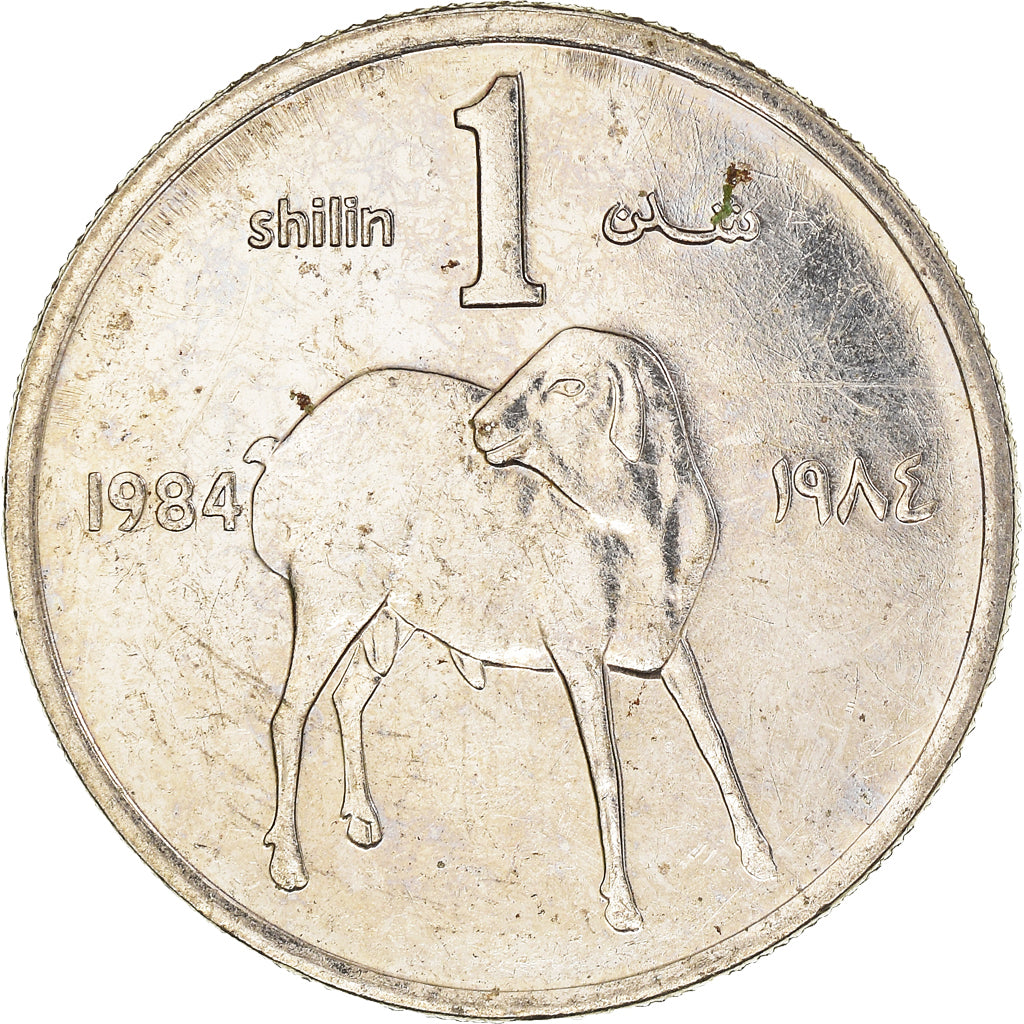 Coin, Somalia, Shilling, 1984, EF(40-45), Nickel plated steel, KM:27A