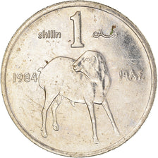 Coin, Somalia, Shilling, 1984, EF(40-45), Nickel plated steel, KM:27A