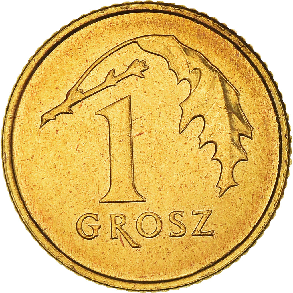 Coin, Poland, Grosz, 2013, Warsaw, MS(64), Brass, KM:276