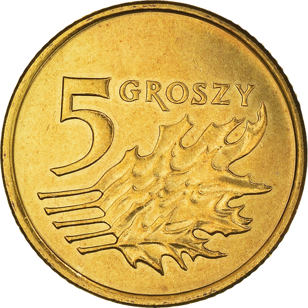 Coin, Poland, 5 Groszy, 2005, Warsaw, MS(63), Brass, KM:278