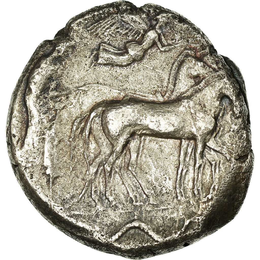 Coin, SICILIA, Syracuse, Tetradrachm, Syracuse, AU(50-53), Silver