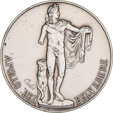 Vaticano, medaglia, Musei Vaticani, Apollo Del Belvedere, Arts & Culture, 1995