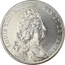 França, medalha, Luís XIV, Les rois de France, Louis XIV, História