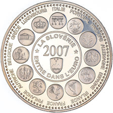 Frankrijk, Medaille, L'Europe des XXVII, La Slovénie entre dans l'Euro