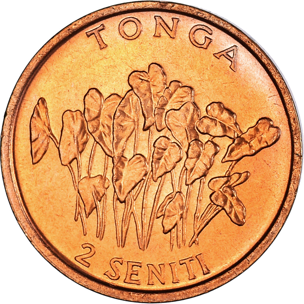 Moneta, Tonga, King Taufa'ahau Tupou IV, 2 Seniti, 1996, MS(63), Brązowy, KM:67