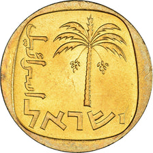 Coin, Israel, 10 Agorot, 1962, Tel Aviv, MS(60-62), Aluminum-Bronze, KM:26