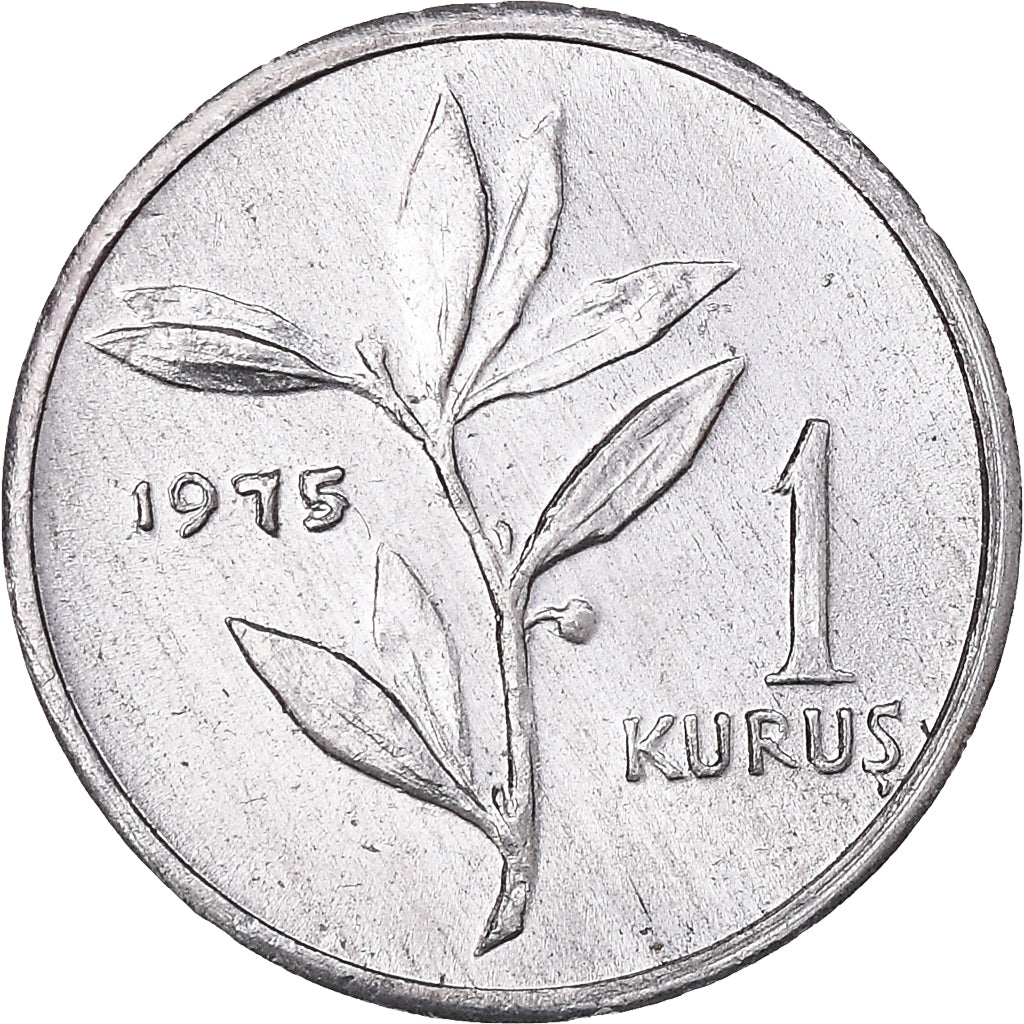 Coin, Turkey, Kurus, 1975, MS(60-62), Aluminum, KM:895b
