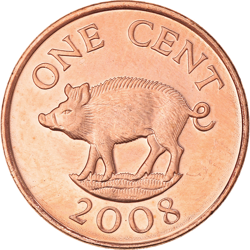 Coin, Bermuda, Elizabeth II, Cent, 2008, MS(60-62), Copper Plated Steel, KM:107a
