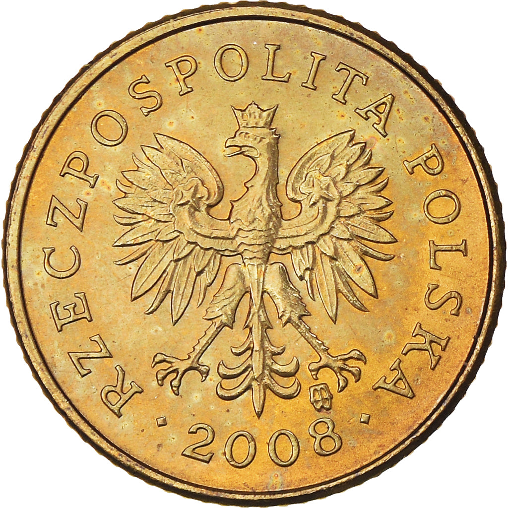 Coin, Poland, Grosz, 2008, Warsaw, MS(63), Brass, KM:276