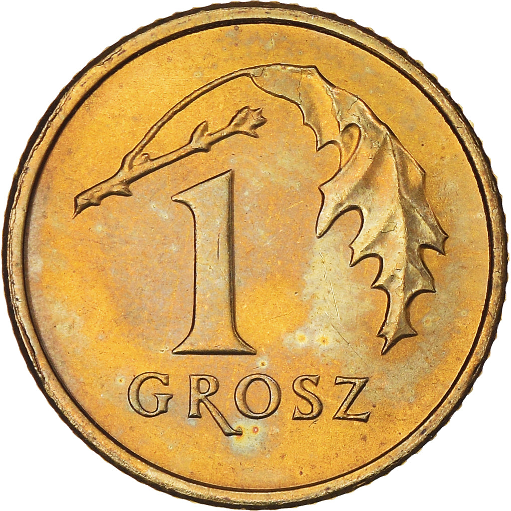 Coin, Poland, Grosz, 2008, Warsaw, MS(63), Brass, KM:276