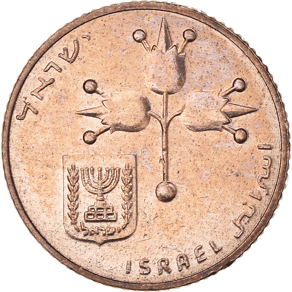 Coin, Israel, 10 New Agorot, 1981, MS(60-62), Nickel-Bronze, KM:108