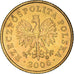 Coin, Poland, Grosz, 2005, Warsaw, MS(60-62), Brass, KM:276