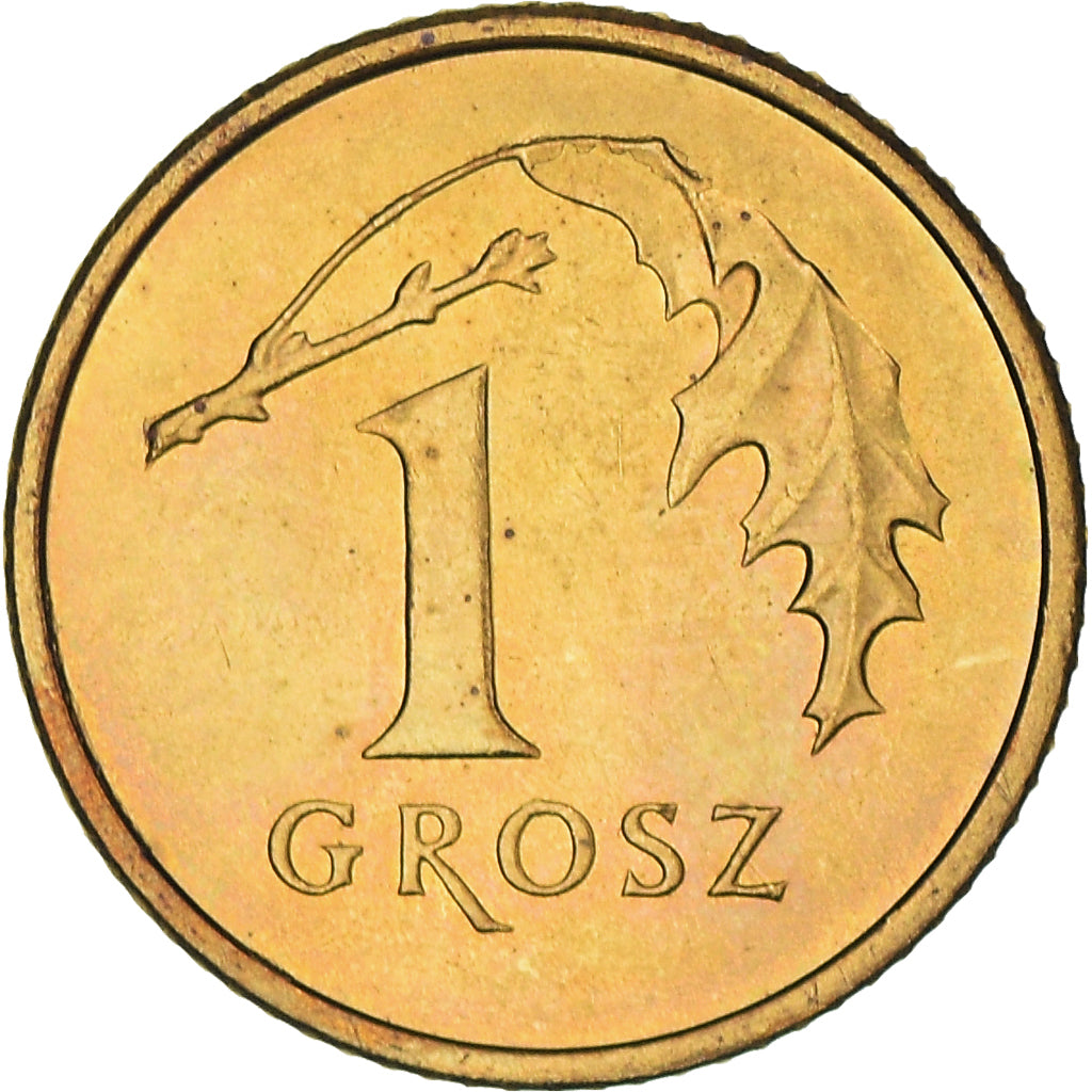 Coin, Poland, Grosz, 2005, Warsaw, MS(60-62), Brass, KM:276