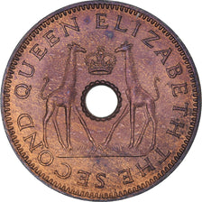 Moneda, Rodesia y Nyasalandia, Elizabeth II, 1/2 Penny, 1958, British Royal