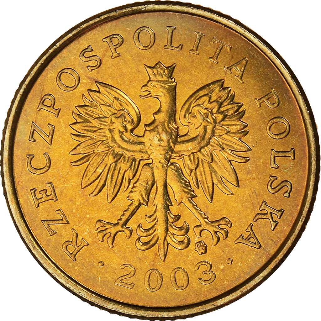 Coin, Poland, 5 Groszy, 2003, Warsaw, MS(64), Brass, KM:278