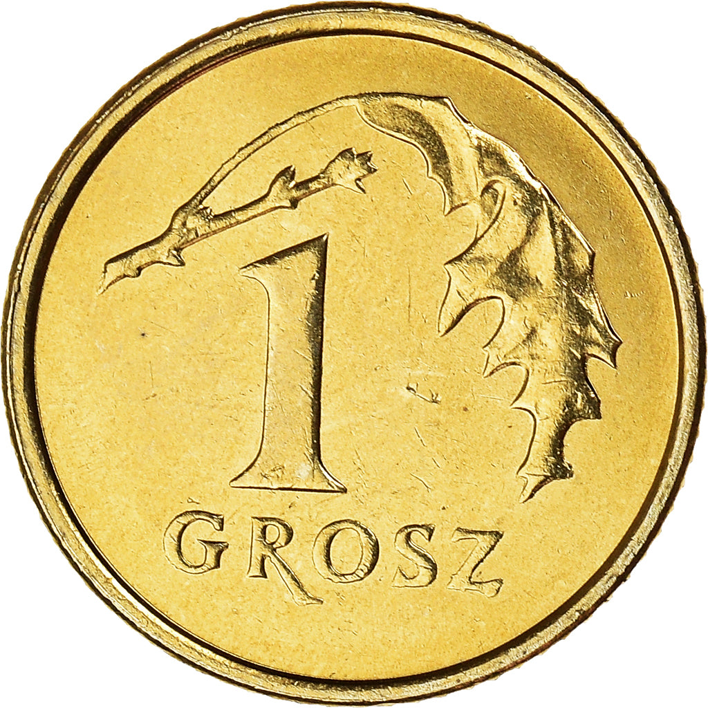 Moneta, Polska, Margrethe II, Grosz, 2004, Warsaw, MS(60-62), Mosiądz, KM:276
