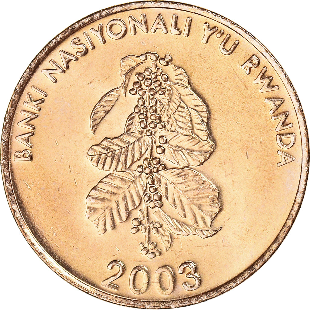 Moneta, Ruanda, 5 Francs, 2003, MS(60-62), Mosiądz platerowany stalą, KM:23