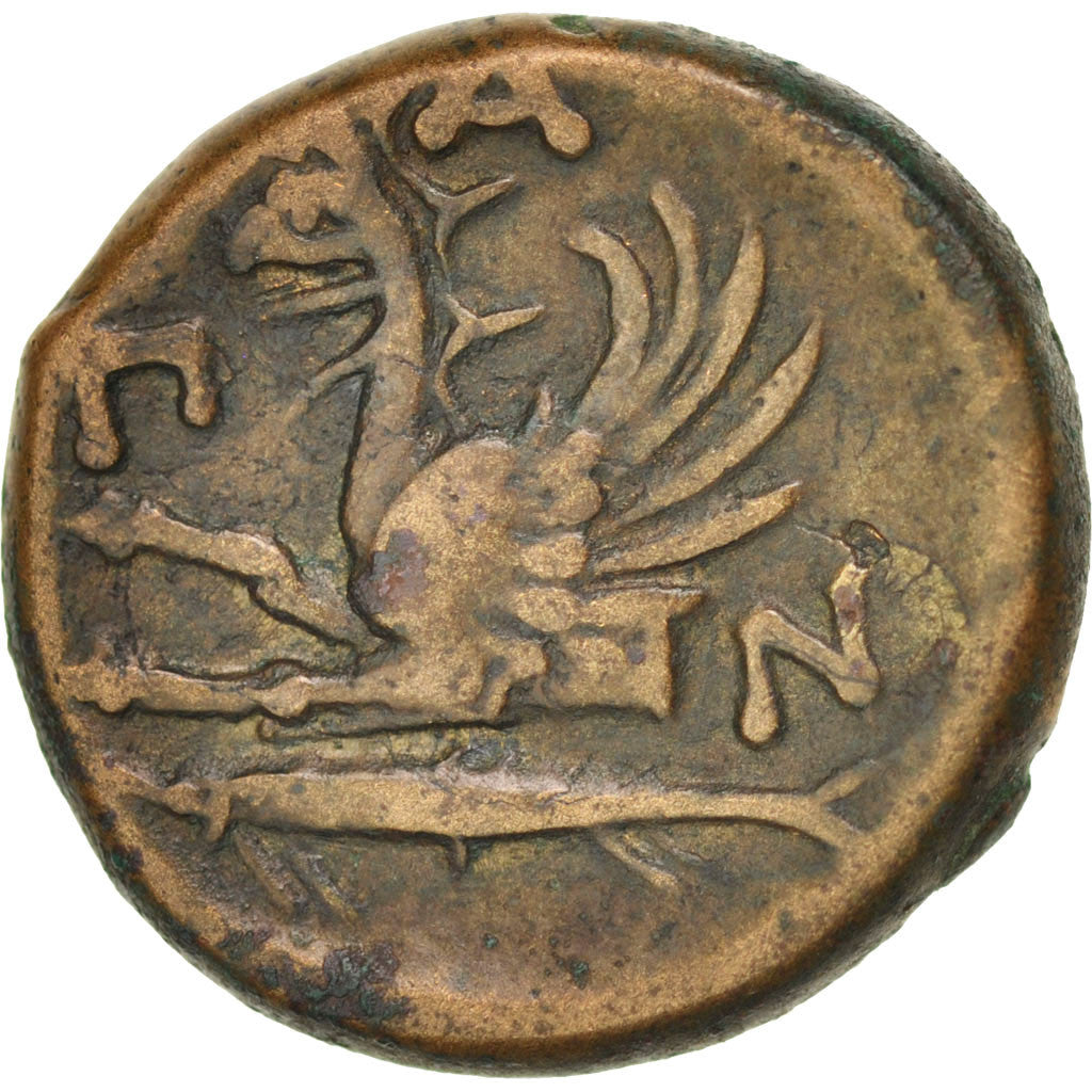 Thrace, Pantikapaion, Bronze, 310-304/3 BC, EF(40-45), SNG BM 869