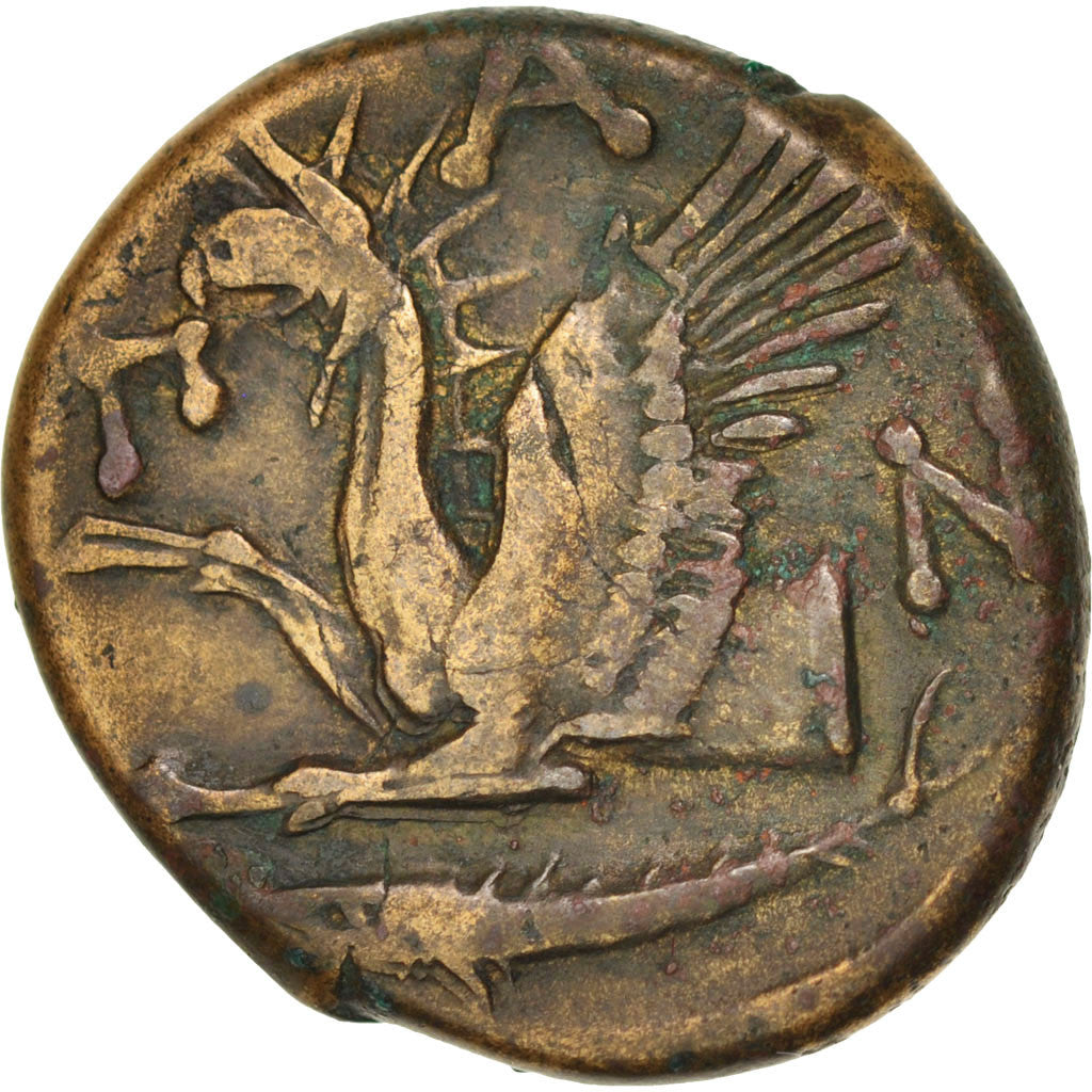 Thrace, Pantikapaion, Bronze, 310-304/3 BC, EF(40-45), SNG BM 869