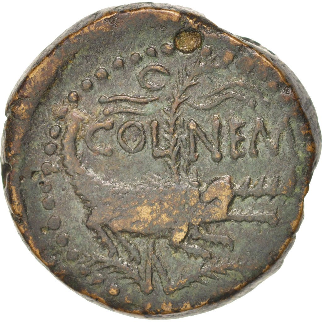 Augustus with Agrippa, Dupondius, 10-14 AD, Nemausus, EF(40-45), Bronze, RIC:157