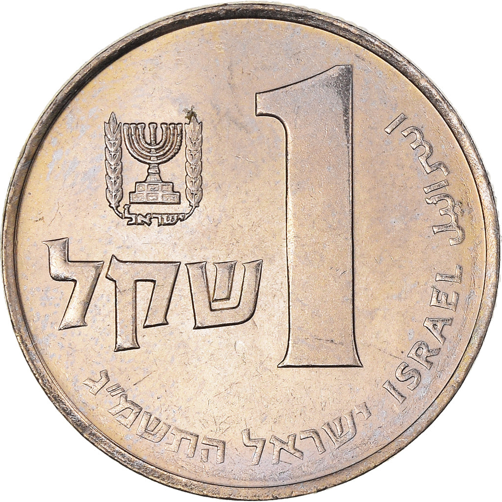 Coin, Israel, Sheqel, 1982, MS(63), Copper-nickel, KM:111