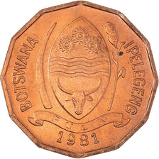 Munten, Botswana, 2 Thebe, 1981, UNC, Bronzen, KM:14