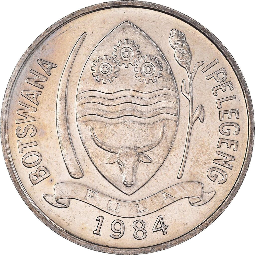 Coin, Botswana, 10 Thebe, 1984, British Royal Mint, MS(63), Copper-nickel, KM:5