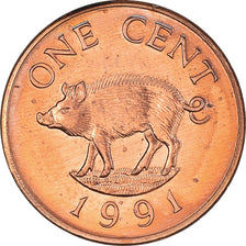 Moneta, Bermuda, Elizabeth II, Cent, 1991, MS(60-62), Miedź platerowana