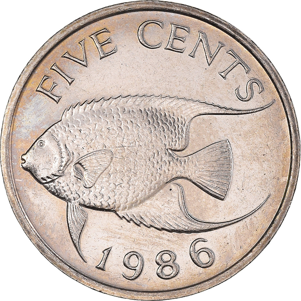 Coin, Bermuda, Elizabeth II, 5 Cents, 1986, MS(60-62), Copper-nickel, KM:45