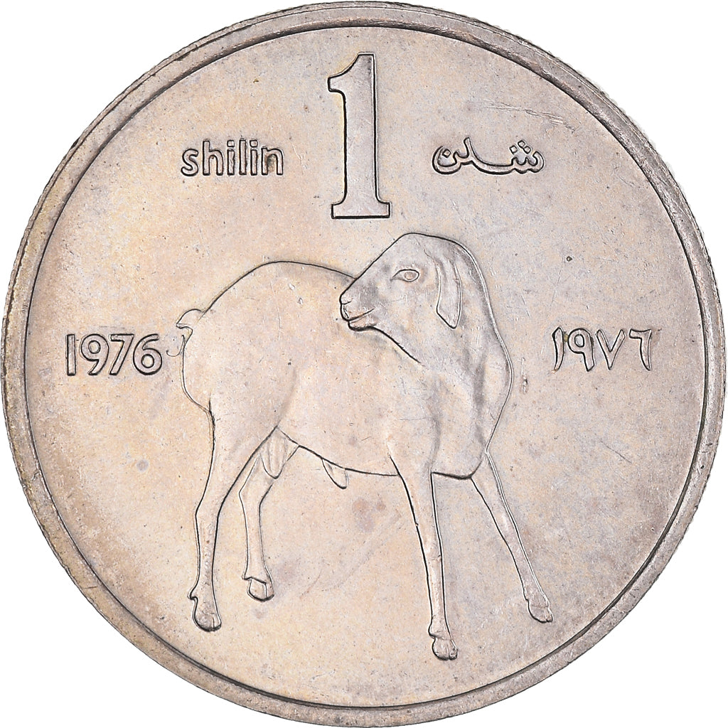 Monnaie, Somalie, Shilling, 1976, SUP, Cupro-nickel, KM:27